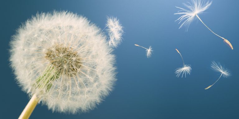 Ein ganz besonderer Wunschzettel – für dich von MACH MIT