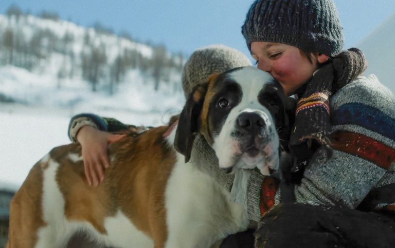 MEIN FREUND BARRY: Filmtipp