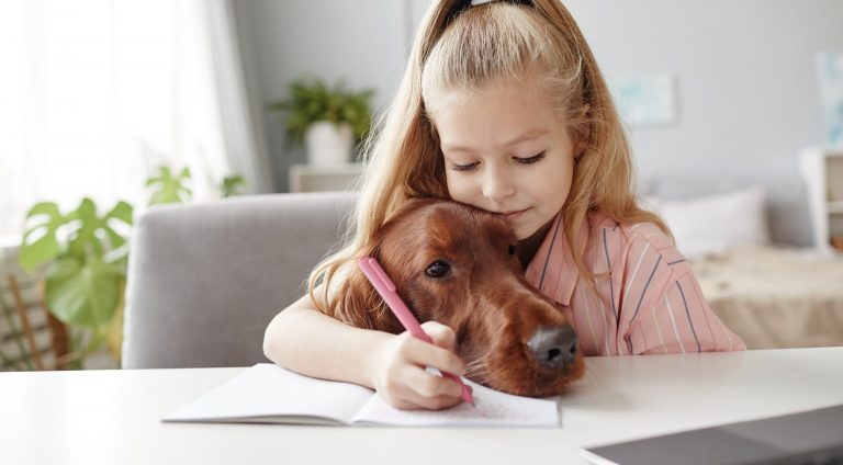 Helden auf vier Pfoten